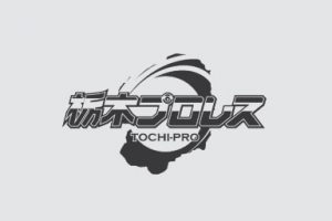 仲田総業Presents 栃木プロレス　東日本大震災＆平成28年熊本地震復興チャリティーイベントイメージ