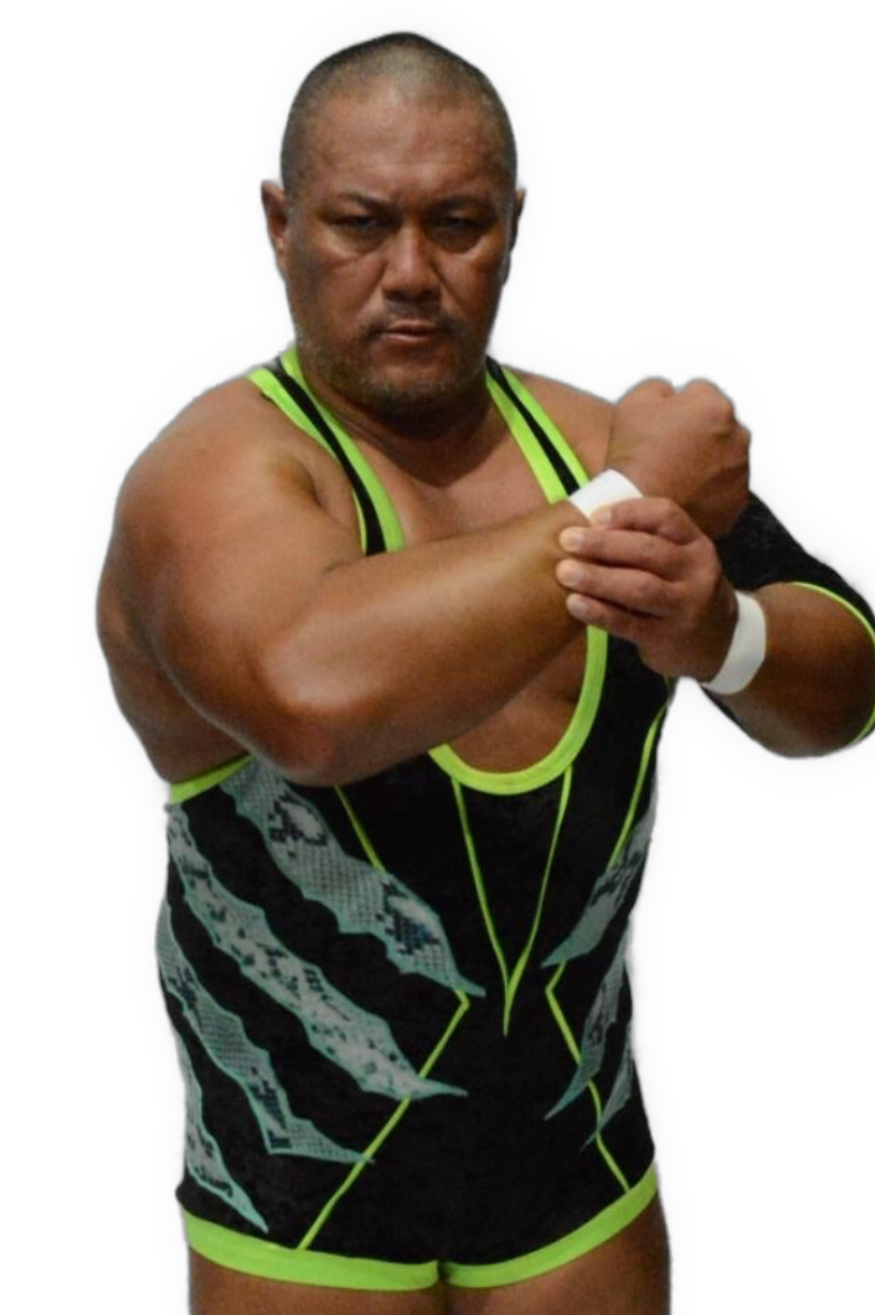 不動力也